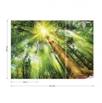 Sunshine Trees In The Forest Photo Wallpaper Wall Mural - Img 4