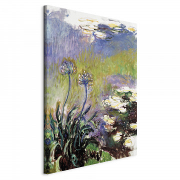 Tablou - Agapanthus - Img 1