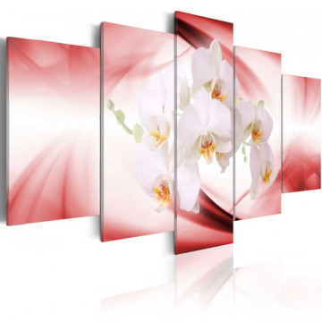 Tablou - An orchid flower in pink and white - Img 1