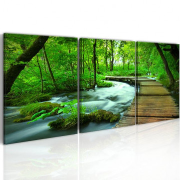 Tablou - Forest broadwalk - triptych - Img 1