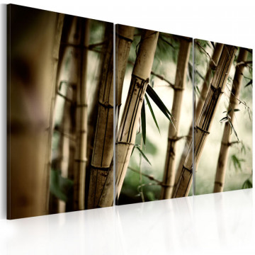 Tablou - In a tropical forest - Img 1