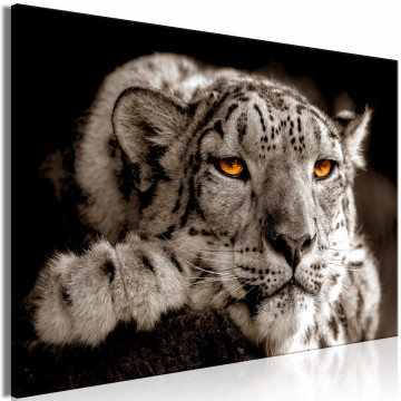 Tablou - Magic Eyes (1 Part) Wide - Img 1