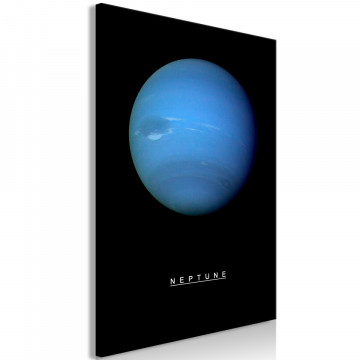 Tablou - Neptune (1 Part) Vertical - Img 1