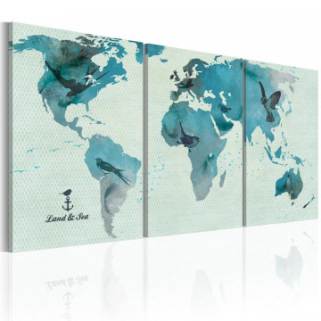Tablou - Ornithological map of the World - Img 1