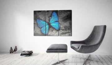 Tablou - The study of butterfly - triptych - Img 2