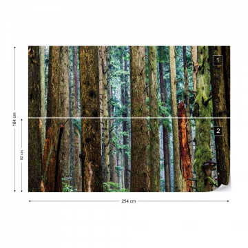 Tree Textures In The Forest Photo Wallpaper Wall Mural - Img 5