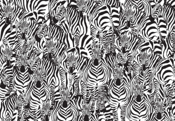Zebra Pattern Photo Wallpaper Wall Mural - Img 3