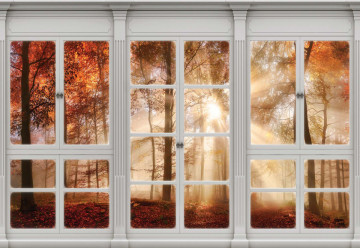 3D Door View Autumn Forest Photo Wallpaper Wall Mural - Img 6
