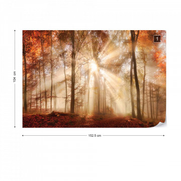 Autumn Trees Forest Sunshine Photo Wallpaper Wall Mural - Img 10