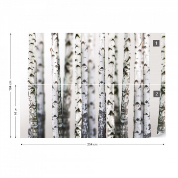 Birch Trees Forest Nature Texture Photo Wallpaper Wall Mural - Img 9