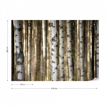 Birch Trees In The Forest Photo Wallpaper Wall Mural - Img 14