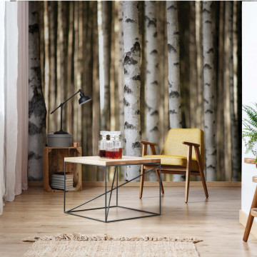 Birch Trees In The Forest Photo Wallpaper Wall Mural - Img 15