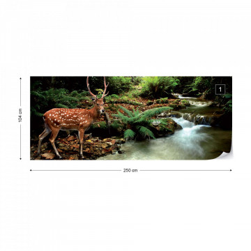 Deer In Forest Photo Wallpaper Wall Mural - Img 13