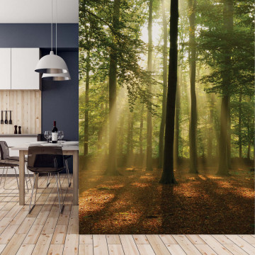 Enchanted Forest Photo Wallpaper Wall Mural - Img 16