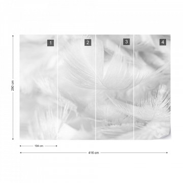 Feathers in Black & White - Img 17