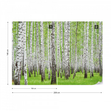 Forest Birch Trees Woods Photo Wallpaper Wall Mural - Img 14