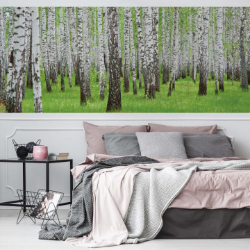 Forest Birch Trees Woods Photo Wallpaper Wall Mural - Img 19