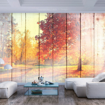 Fototapet - Autumn Sun - Img 1