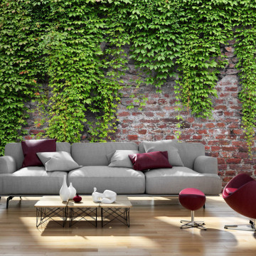Fototapet - Brick and ivy - Img 1