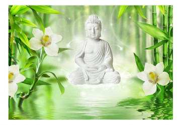 Fototapet - Buddha and nature - Img 2