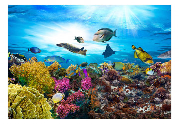 Fototapet - Coral reef - Img 2