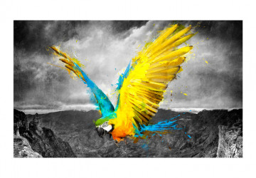 Fototapet - Exotic parrot - Img 2