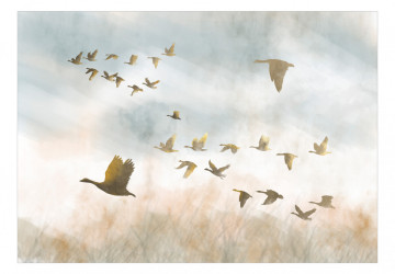Fototapet - Golden Geese - Img 2
