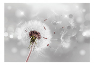 Fototapet - Grasping the Invisible - Img 2