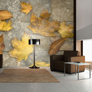 Fototapet - Harbinger of autumn - Img 1