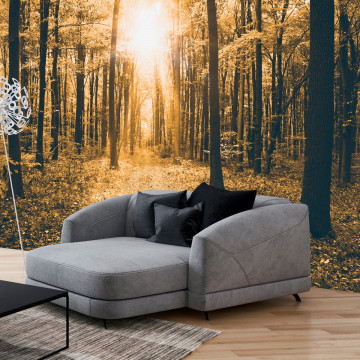 Fototapet - Magical Light - Img 1