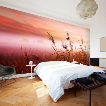 Fototapet - Morning meadow - Img 1