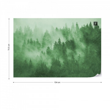Fototapet - Pădure de Brazi în Ceață – Verde - Img 1