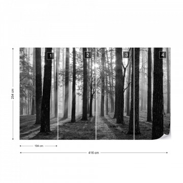 Fototapet - Răsărit de Soare în Pădure – Alb-Negru - Img 16