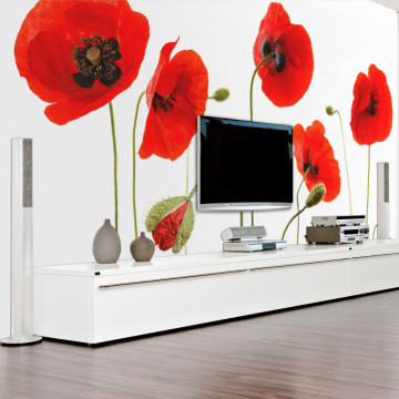 Fototapet - Red poppies, summertime reminiscence - Img 1