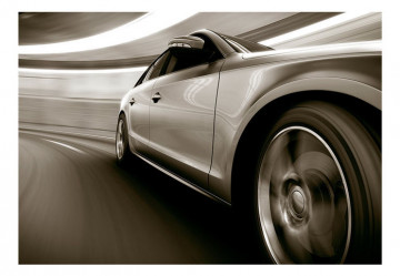 Fototapet - Speed and Elegance - Img 2