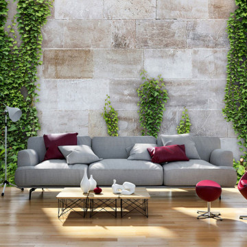 Fototapet - The Forgotten Garden - Img 1