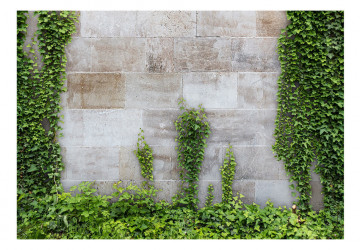 Fototapet - The Forgotten Garden - Img 2