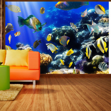 Fototapet - Underwater adventure - Img 1