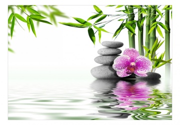 Fototapet - Water Garden - Img 2