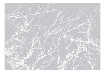 Fototapet - White Trees - Img 2