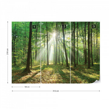 Green Forest Photo Wallpaper Wall Mural - Img 10