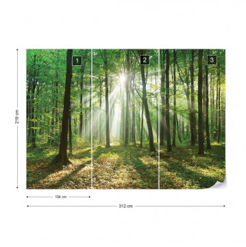 Green Forest Photo Wallpaper Wall Mural - Img 4