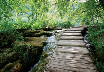 Green Forest Waterfall Pathway Photo Wallpaper Wall Mural - Img 3