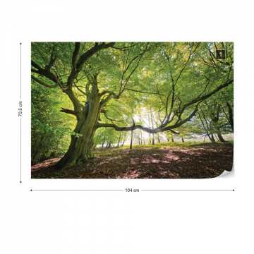 Green Tree In The Forest Photo Wallpaper Wall Mural - Img 1