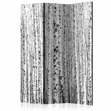 Paravan - Birch forest [Room Dividers] - Img 1