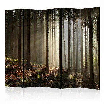 Paravan - Coniferous forest II [Room Dividers] - Img 1