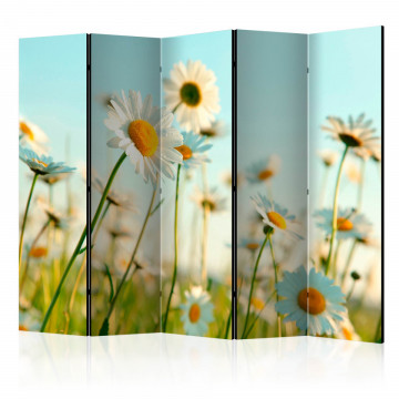 Paravan - Daisies - spring meadow II [Room Dividers] - Img 1