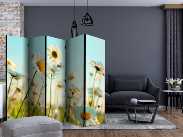 Paravan - Daisies - spring meadow II [Room Dividers] - Img 2