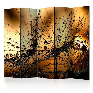 Paravan - Dandelions in the Rain II [Room Dividers] - Img 1