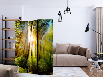 Paravan - Forest Hideout [Room Dividers] - Img 2